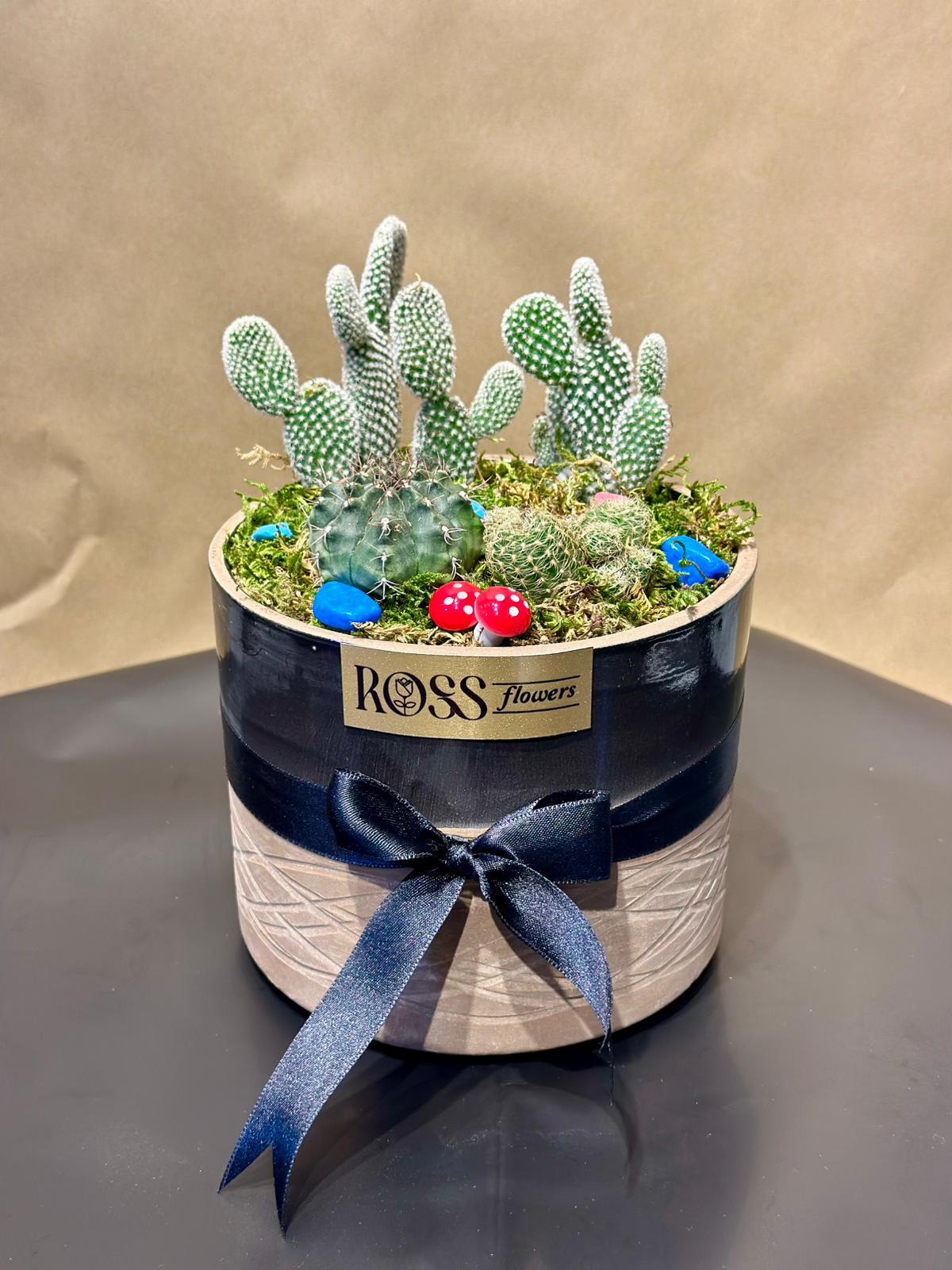 Seramik Saksıda Kaktüs